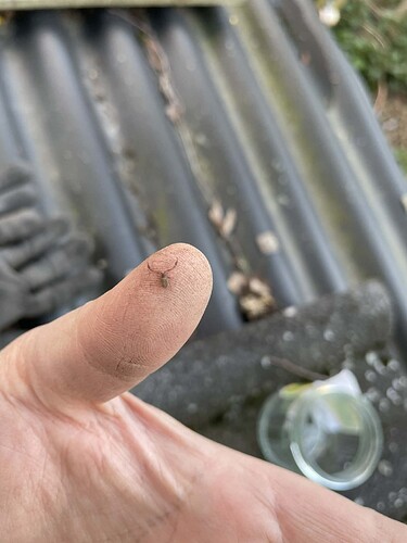 att.Sn3xDGIM4xlu0d-f-lZ46Q9VUfTl6VjZbSEAfuxIE68