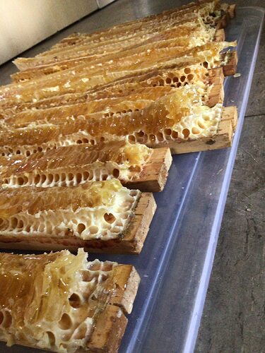 519426040_24877437238525700_2331111832079737930_n