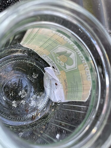 att.YipzJBIvIDJRS2BLVkHcQMRwjSxFM7tFLwAHIFdUuPI