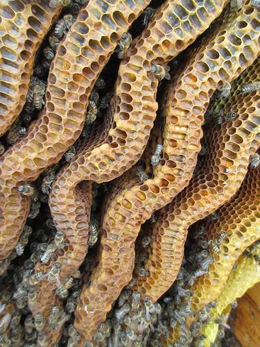 K1024_09182025 September 2025 (2)