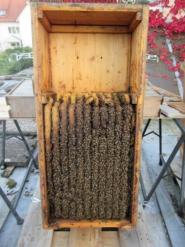 K1024_09182025 September 2025 (3)