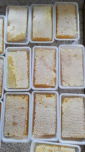 IMG-20260722-WA0001