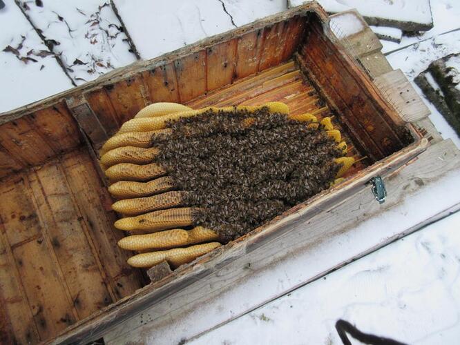 K1024_12262025 Dezember 2025 (274)