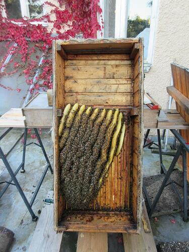 K1024_09182025 September 2025 (1)