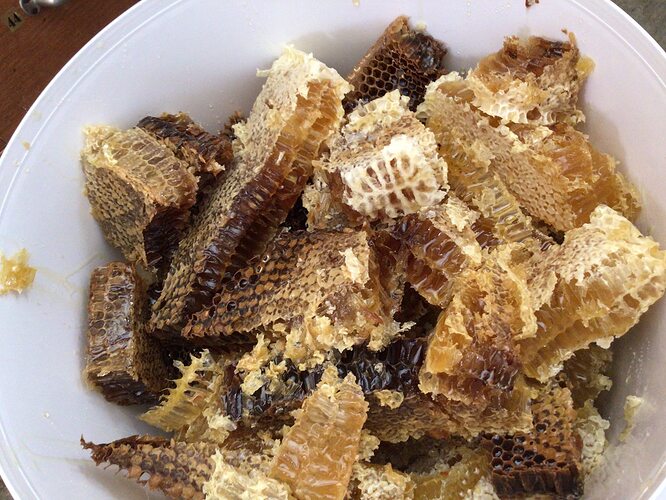 522151740_24877438268525597_7575566196700326964_n