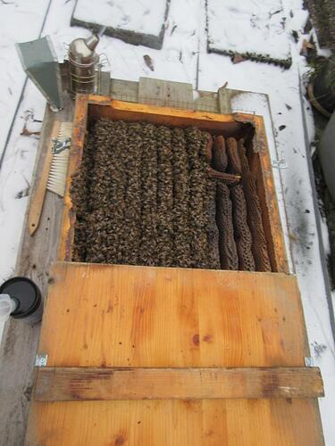 K1024_12262025 Dezember 2025 (273)