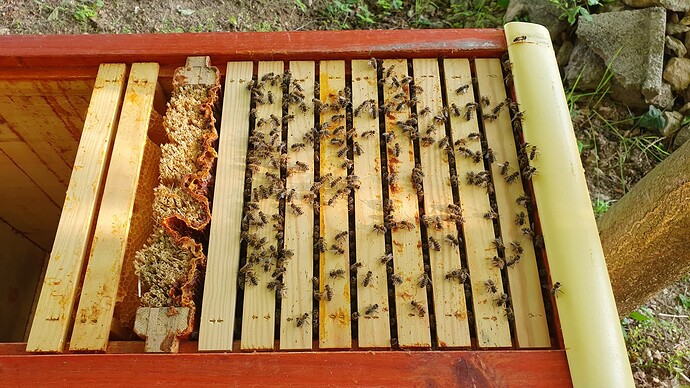 Rähmchen 1-9 nach der ersten Erweiterung