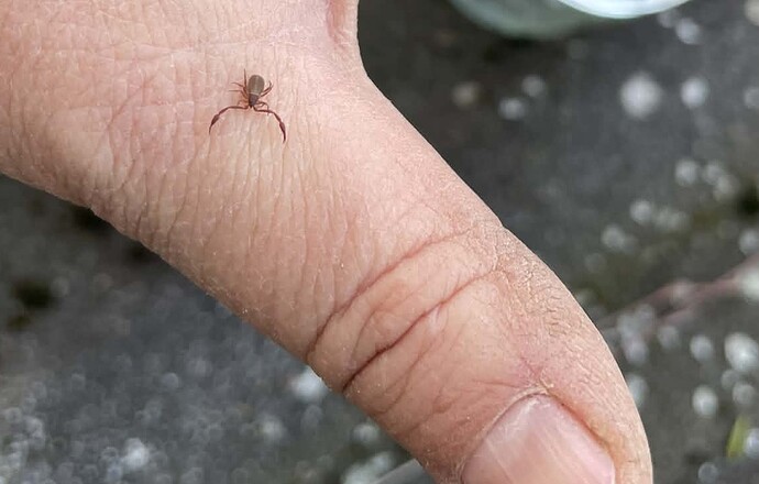 att.c_47k0YX8lcMEyg219A6oGfGKJ7DOP8g8Lj-gW1EnoA