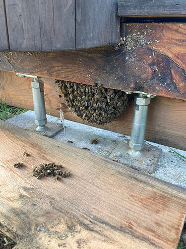 IMG_0761