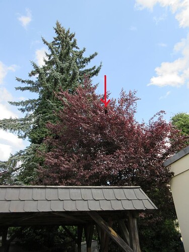 K1024_05082026 Mai 2026 (1a)