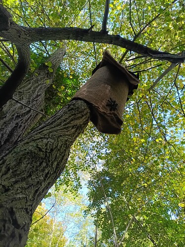 2025_10_18_Bienen_Umhausung