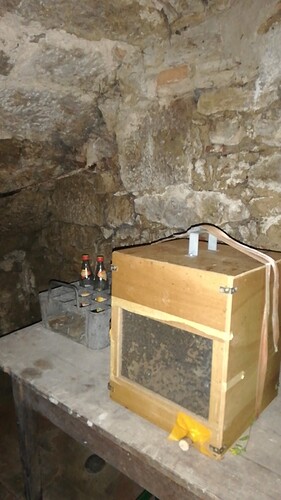 IMG-20260506-WA0004