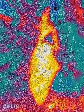 2flir