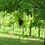 Naturfreund Naturfreund