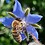 Paul.Burk_2026